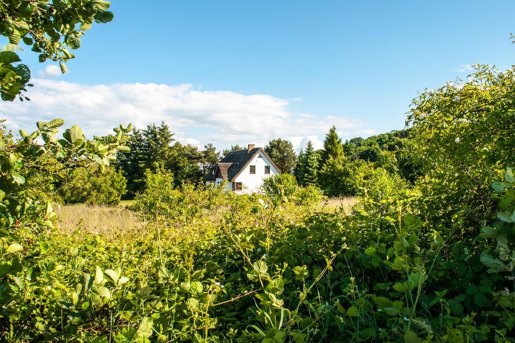 Dat Witte Hus Moritzdorf Ruegen Ferienwohnungen - Ruhige Lage Εξωτερικό φωτογραφία
